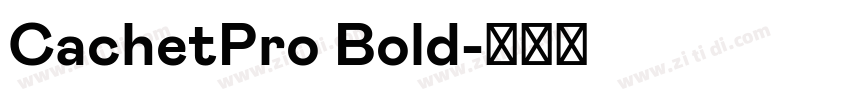 CachetPro Bold字体转换